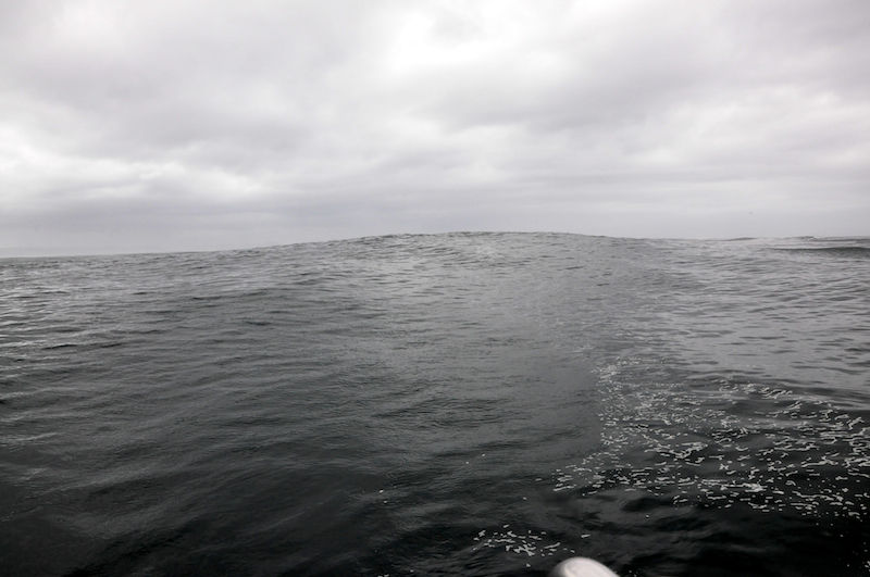 Melanie Heinrich Travel images Capetown -Shark diving Africa